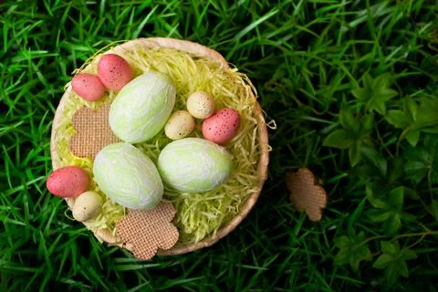 Chicken and quail Easter eggs in a nest on meadow grass Stock Photos