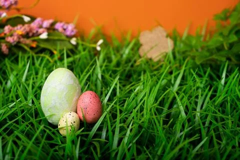 Chicken and quail Easter eggs in meadow grass Stock Photos