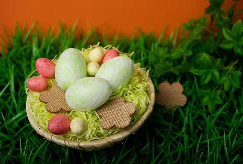 Chicken and quail Easter eggs in a nest on meadow grass Stock-Fotos