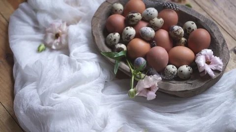 Chicken and quail eggs Stock Footage 75002050