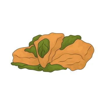 Chicken and spinach illustration Stock Illustration