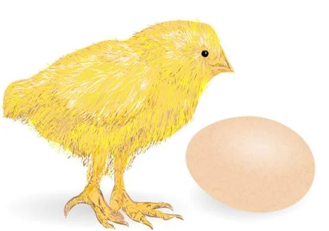 Chicken animai on white Stock Illustration