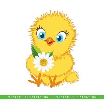 Chicken baby Stock Illustration