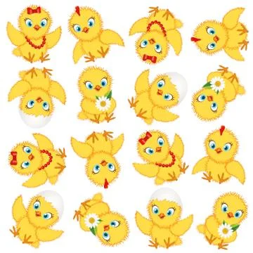 Chicken baby pattern Stock Illustration