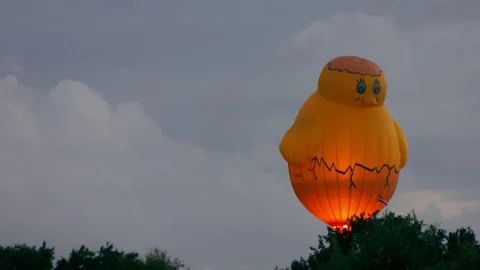Chicken balloon with torch light Stock Footage 79172865