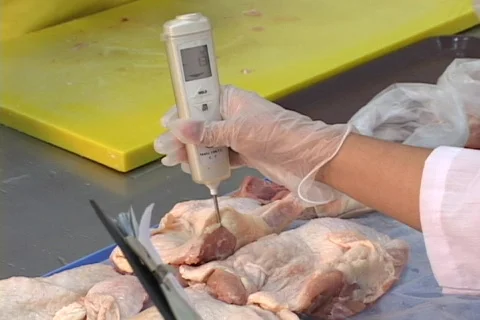 Chicken Barbecue (33) Stock Footage 266267
