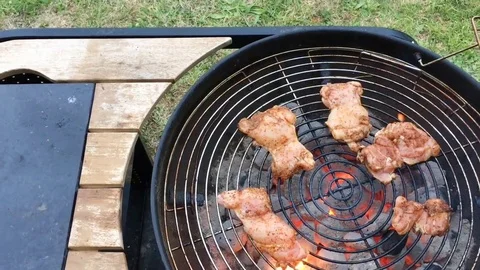 Chicken on the barbecue Stock Footage 72792857
