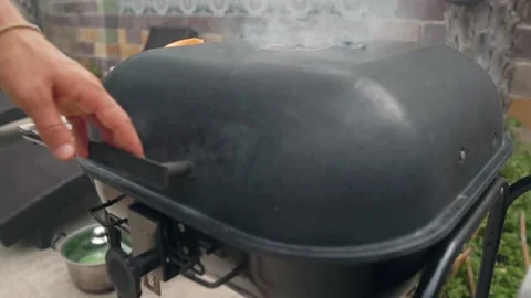 Chicken barbecue Stock Footage 159329731
