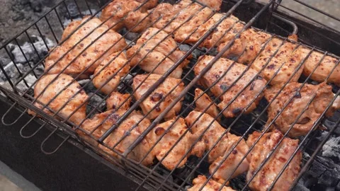 Chicken barbecue Stock Footage 196541901