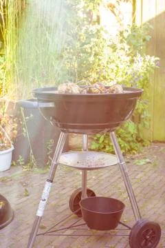 Chicken on barbecue Stock-Fotos