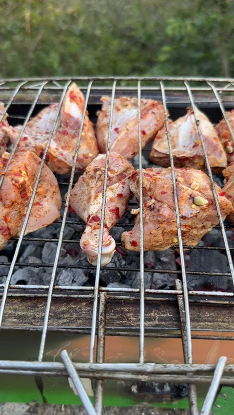 Chicken bbq grill with coal and smoke in mountains. Stock Footage 296883014