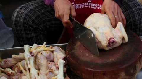 Chicken Being Butchered Video stock 12169274
