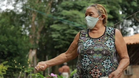 Chicken being feed by old lady with mask Stock Footage 153097726