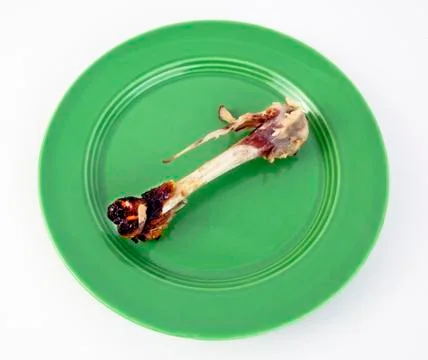 Chicken bone leftover Stock-Fotos