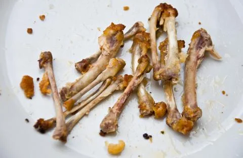 Chicken bone 스톡 사진