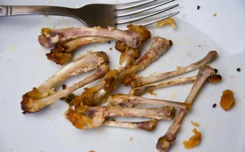 Chicken bone Stock Photos