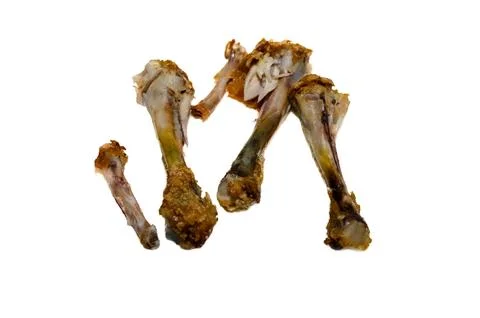 The chicken bone Stock Photos