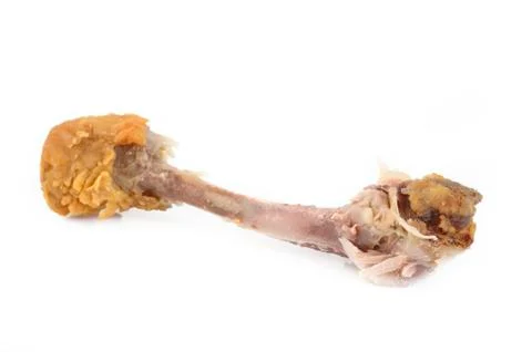 Chicken bones on background Stock Photos