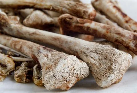 Chicken bones. chicken bones left from lunch. Stock Photos