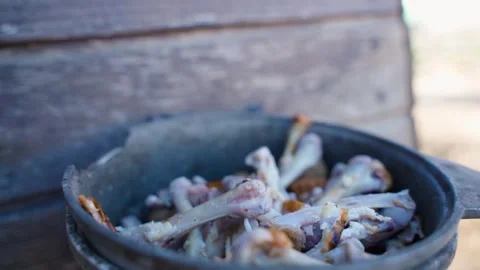 Chicken bones in a dog feeder, close-up Stock Footage 309814456