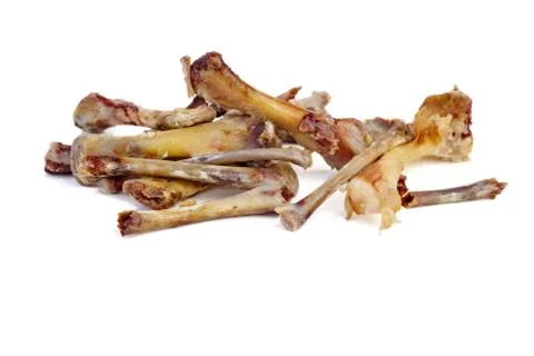 Chicken bones Stock Photos