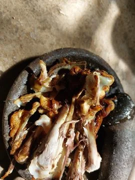 Chicken bones Stock Photos
