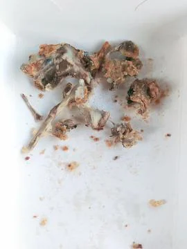 Chicken bones Stock Photos