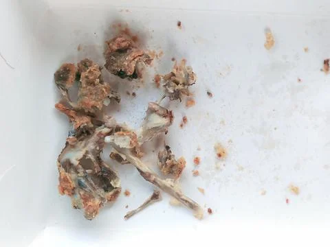 Chicken bones Stock Photos