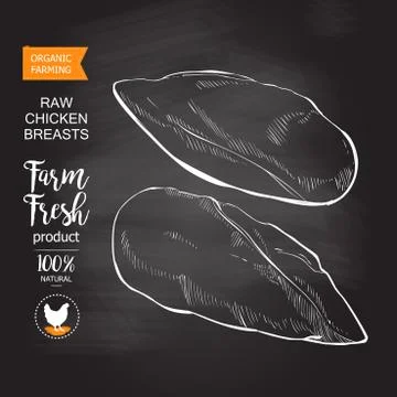Chicken breast vector Illustrazione stock