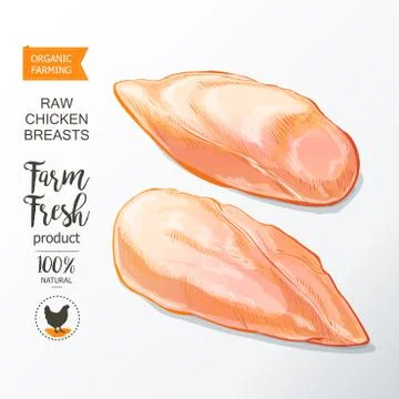 Chicken breast vector Illustrazione stock