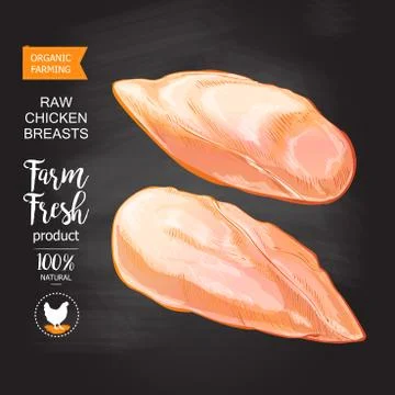 Chicken breast vector Illustrazione stock