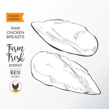 Chicken breast vector Illustrazione stock