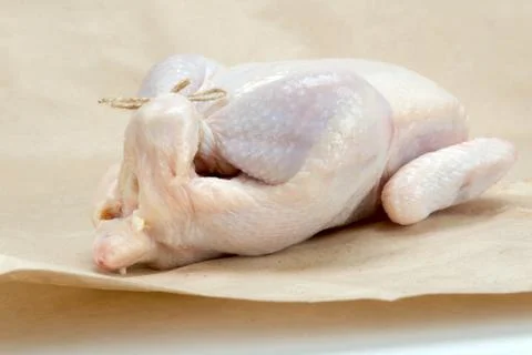 Chicken broiler Stock Photos
