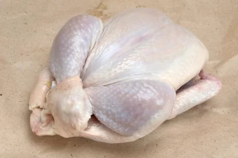Chicken broiler Stock Photos