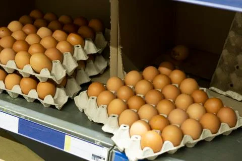 Chicken brown eggs in cardboard egg trays, a broken egg in the shadow Stock Photos