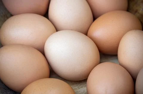 Chicken brown eggs Stock Photos