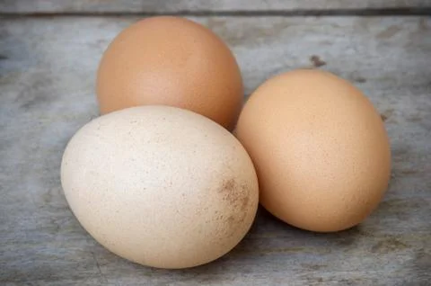 Chicken brown eggs Stock Photos