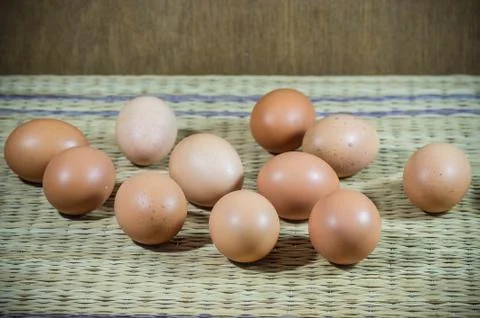Chicken brown eggs Stock Photos