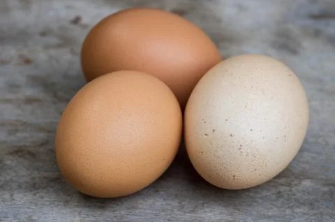 Chicken brown eggs Stock Photos
