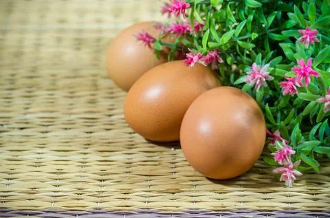 Chicken brown eggs Stock Photos