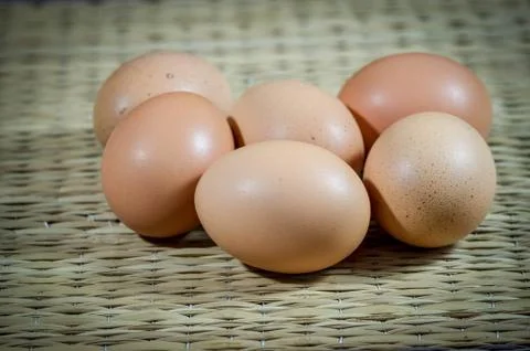 Chicken brown eggs Stock Photos