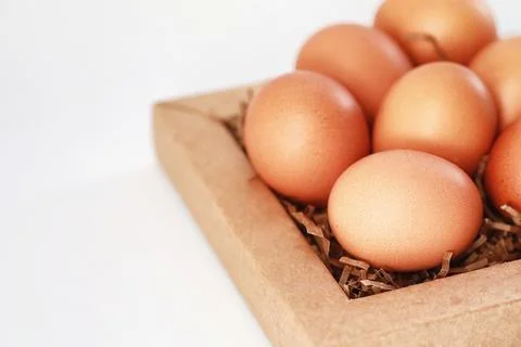 Chicken brown eggs on a white table 库存照片