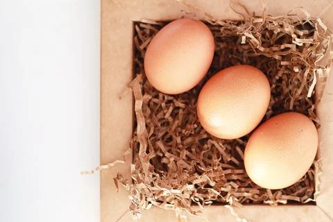 Chicken brown eggs on a white table 库存照片