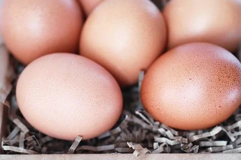 Chicken brown eggs on a white table 写真素材