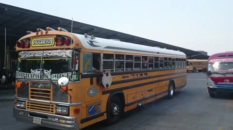 Chicken Buses Vídeo Stock 65179543