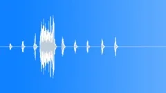 Chicken cackle Sound Effect