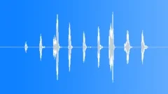 Chicken cackle Sound Effect