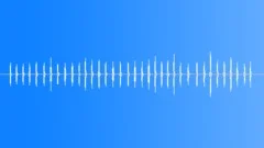 Chicken cackle Sound Effect
