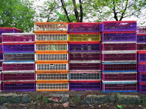 Chicken cage Stock Photos