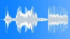 Chicken carcass double plop 01Sound Effect
